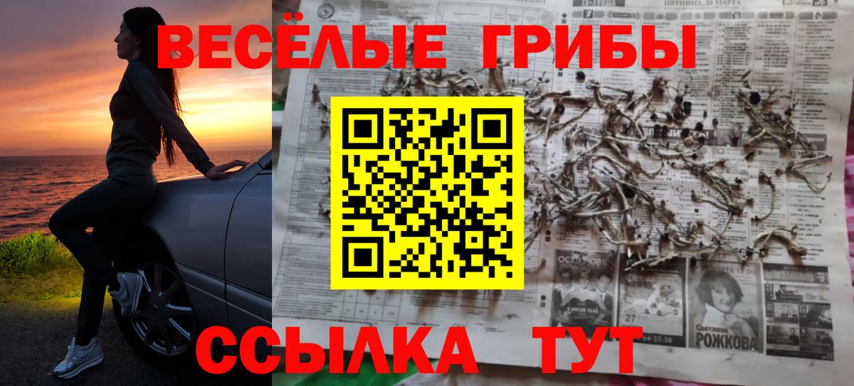 Галлюциногенные грибы прущие грибы Тверь
