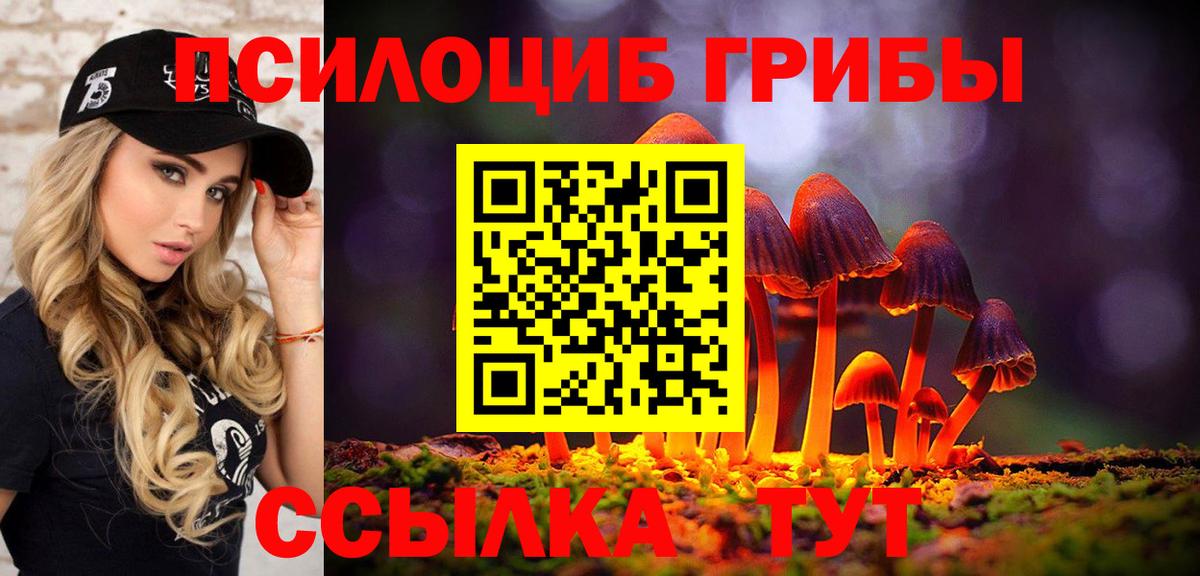 Тверь  Псилоцибиновые грибы прущие грибы  Вход с VPN  Галлюциногенные грибы GOLDEN TEACHER 